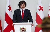 Georgian Prime Minister Irakli Kobakhidze has suspended EU talks until 2028.