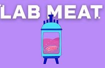EU DECODED: Could lab-grown meat arrive in supermarkets soon?