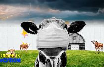 In 2024, agricultural prices in the European Union saw a modest decline, falling by 2% compared to 2023. 