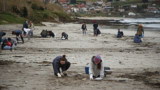 Volunteers collect plastic pellets from a beach in Nigran, Pontevedra, Spain, 9 January 2024