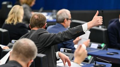A new health committee in the Parliament will start working next year.