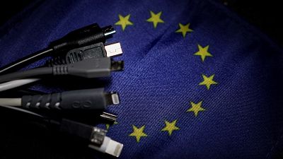 The rules were approved in 2022 by the European Parliament and EU member states. 