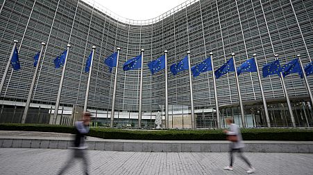 NGOs criticize the Global Gateway, the EU’s flagship overseas investment scheme  