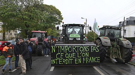 French farmers oppose the Mercosur deal