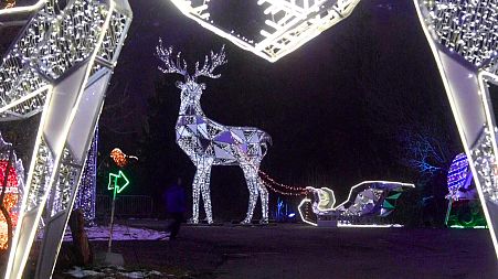 Frida Kahlo, the Taj Mahal and Chinese dragons enchant at Sofia's festive light show