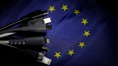 The rules were approved in 2022 by the European Parliament and EU member states. 